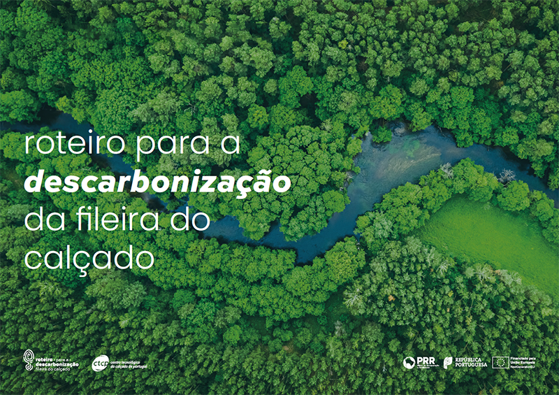 roteiro consulta pública