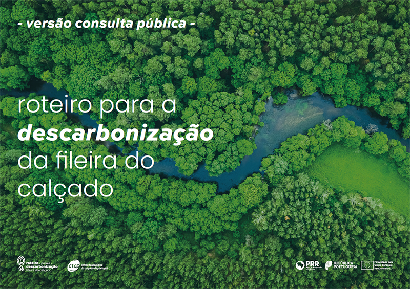 roteiro consulta pública
